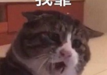 显示器坏了