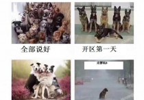 当你和朋友约好一起玩服！