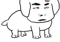 人气居然这么爆！