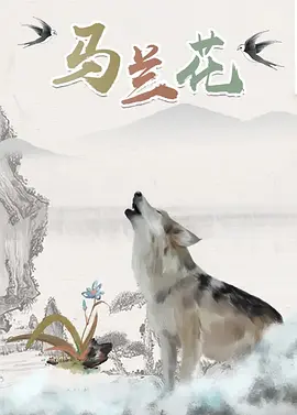 最好的视频播放软件